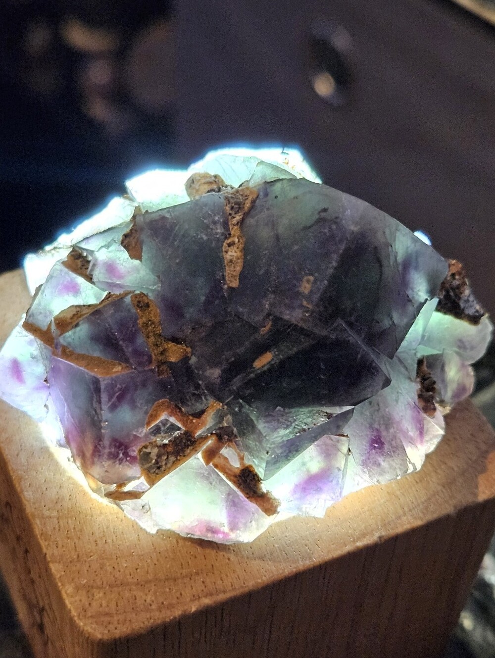 Okorusu Fluorite Specimen - Picture 6 of 8